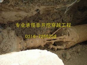 天津過(guò)道頂管施工在環(huán)保工程中的應(yīng)用與優(yōu)勢(shì)